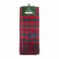 картинка Clans of Scotland MacAlister от магазина  Mykilt